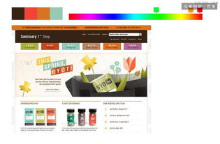 網頁設計中色彩的運用 構建視覺吸引力與用戶體驗的藝術